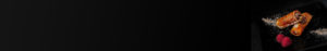 banner-calientes