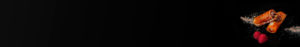 banner-calientes